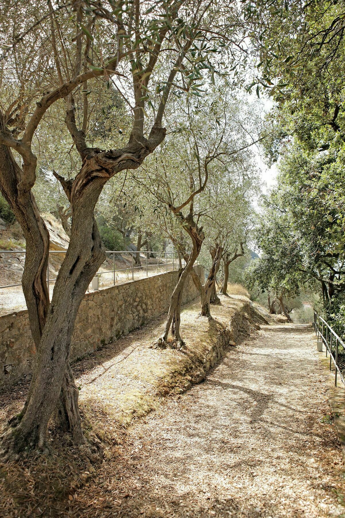 Bagni Di Pisa Palace & Thermal Spa - The Leading Hotels Of The World San Giuliano Terme Exterior foto